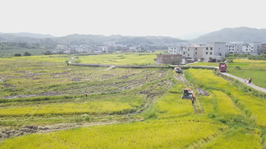 暫無(wú)圖片