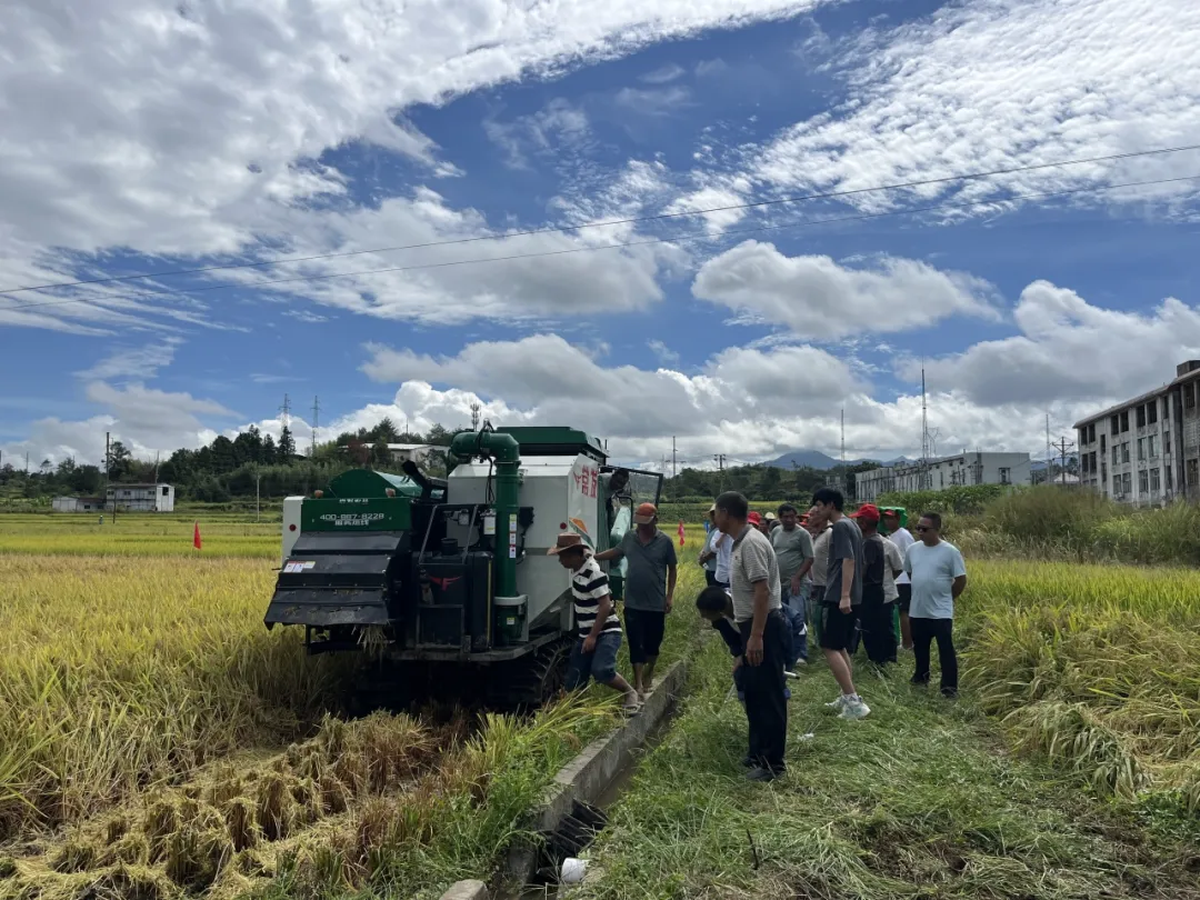 連城：舉辦2025年高素質農民糧油作物專題培訓班