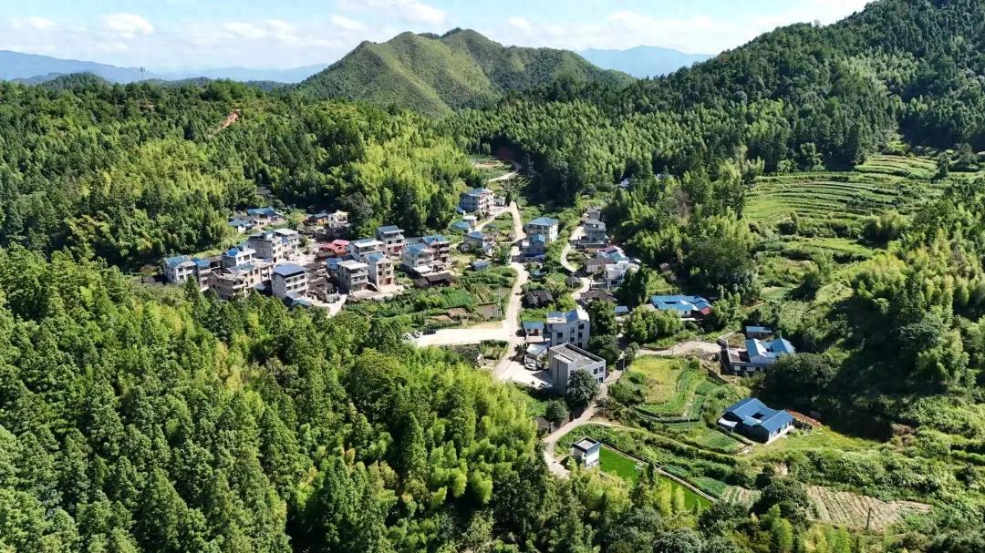 連城新寨村：“村”合民心聚 “融”出共富路