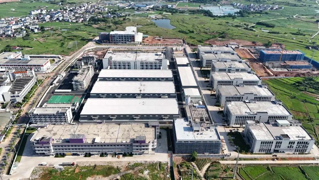 連城：科研驅動地瓜產業全鏈升級